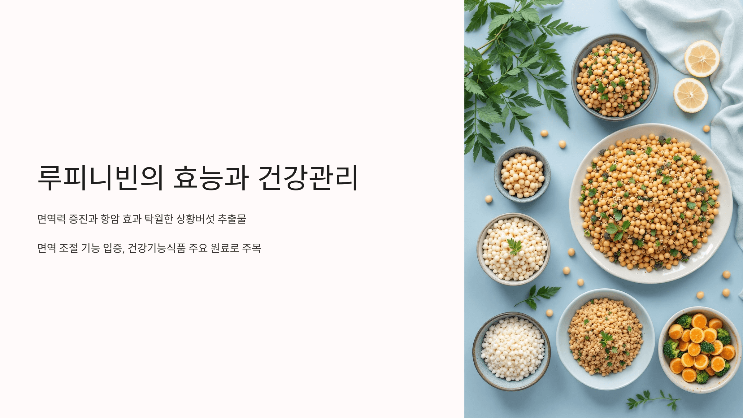 루피니빈과 관련된 사진입니다.