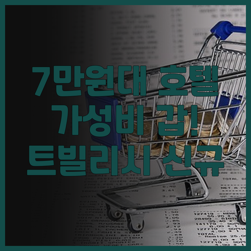 가성비 갑! 트빌리시 그리트 트빌리시..