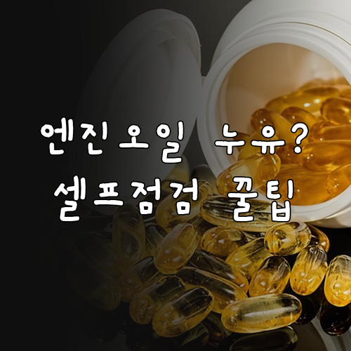 엔진오일 누유, 셀프 점검 3단계..