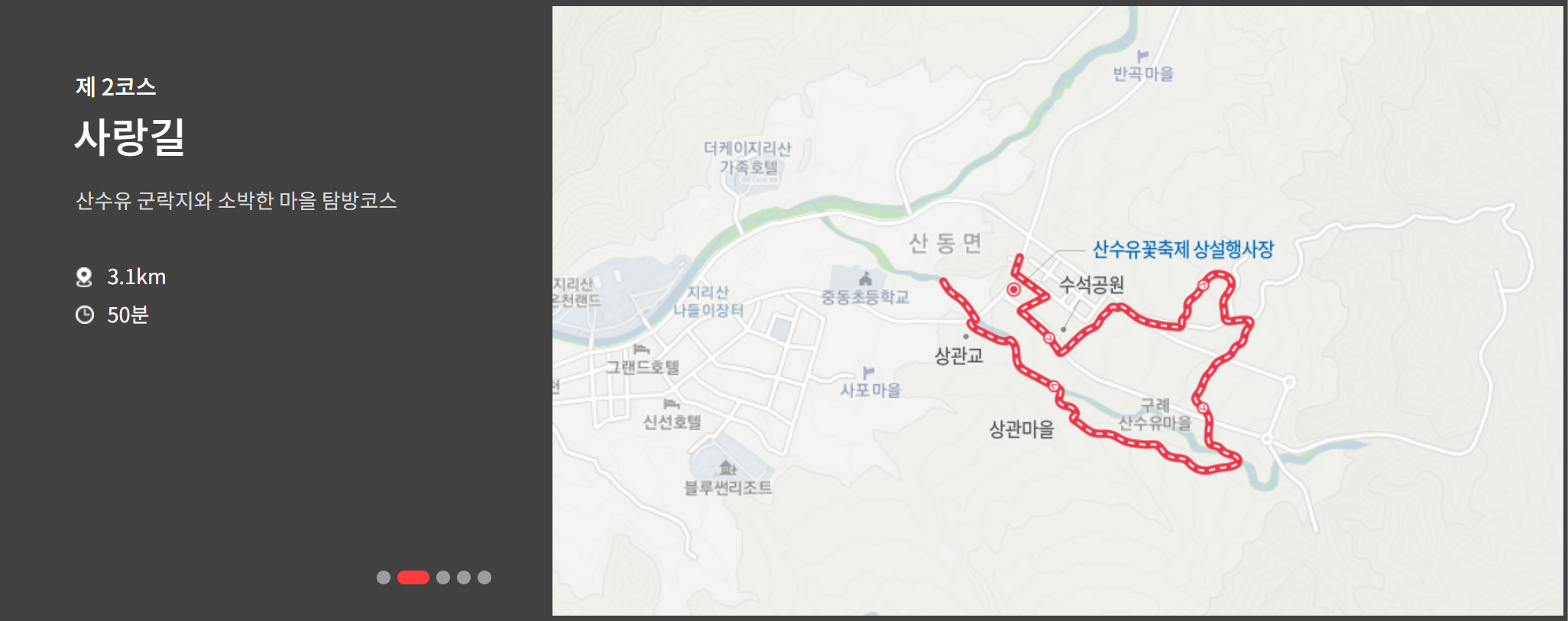 2023 구례 산수유축제 산수유길