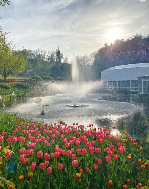 피나클랜드 봄꽃 축제 사진