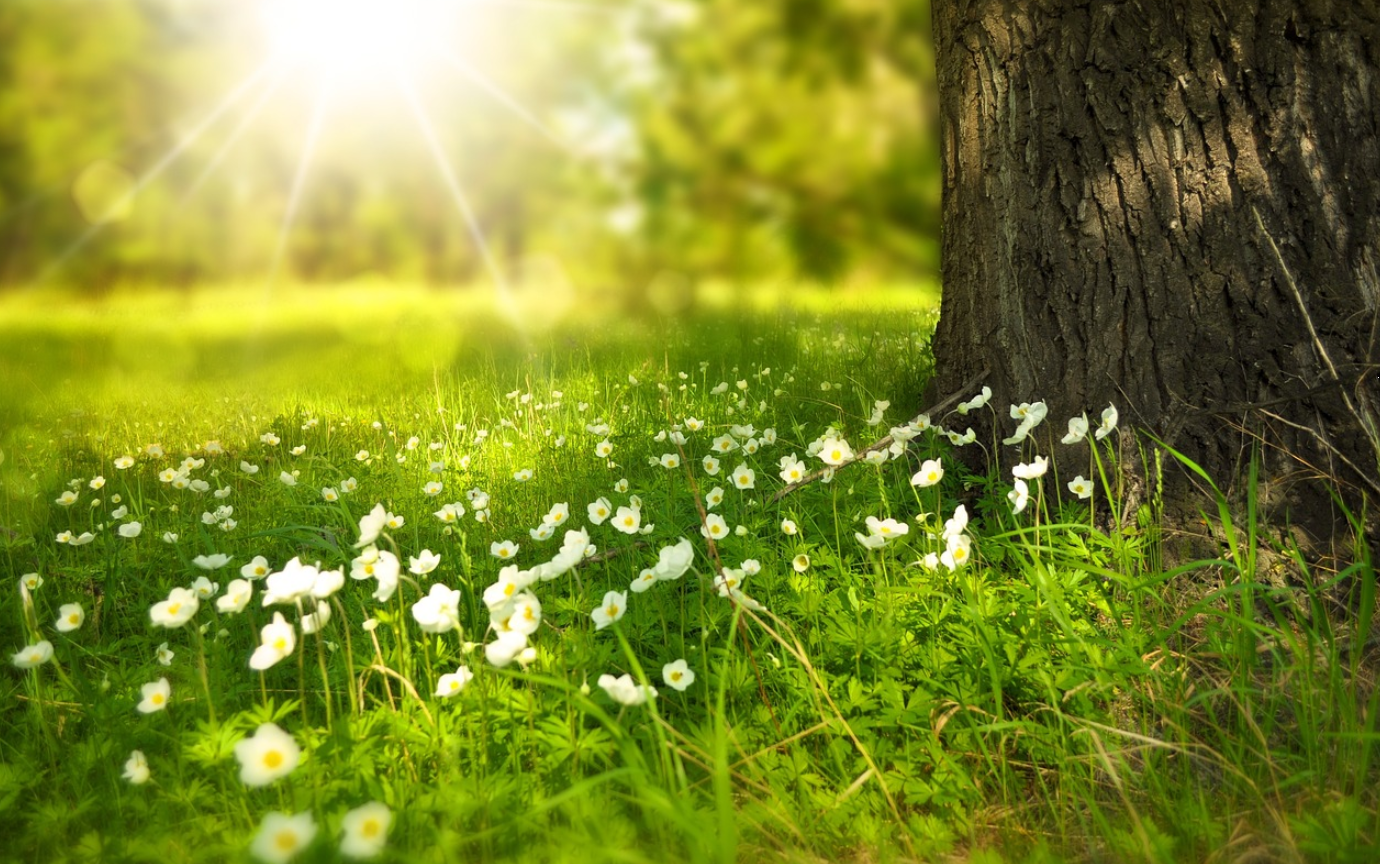 공기청정기 사용이 호흡기 건강에 미치는 효과에 대한 사진