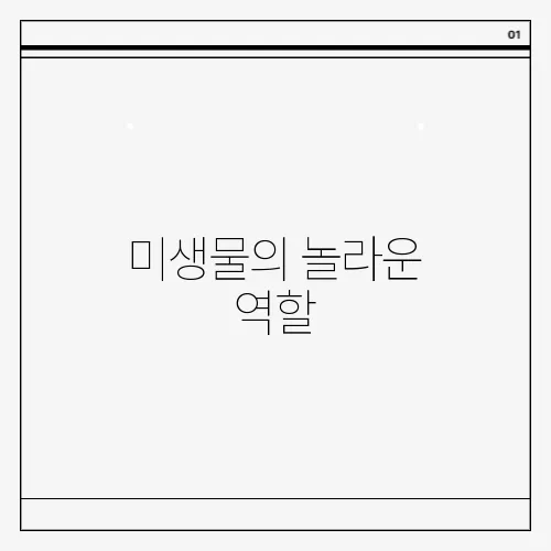미생물의 놀라운 역할