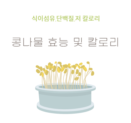 콩나물-효능-칼로리