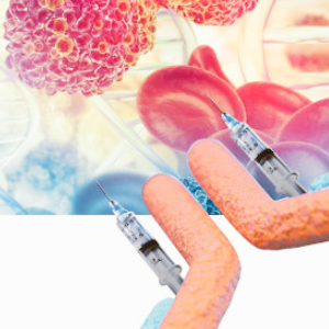 항암제 ADC 관련주 대장주 테마주 TOP5