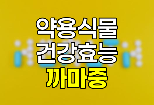 까마중, 효능, 부작용, 올바른 섭취법 및 청혈차 레시피 상세 정보
