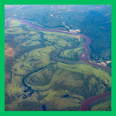 조상땅 찾기 조회