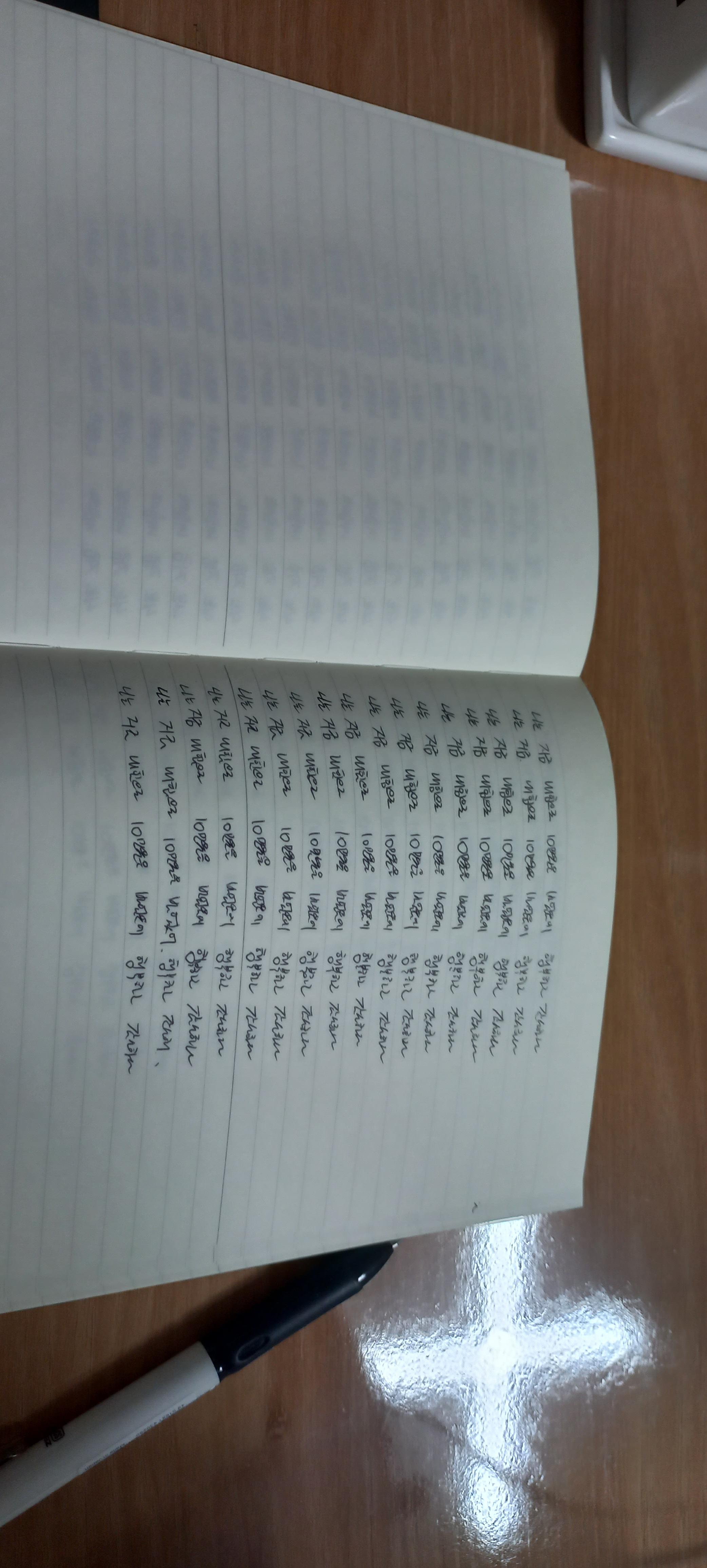 100번 쓰기