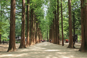 남이섬 어쿠스틱 청춘 페스티벌 총 정리