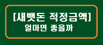 [새뱃돈 얼마] 적정금액 얼마면 좋을까