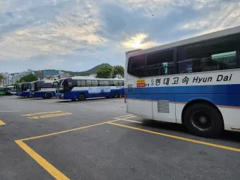 울산 공항 공항버스 리무진 시간표 예매 요금 타는곳_17