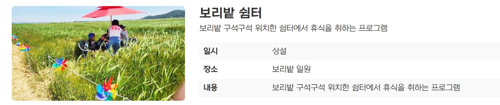 [5월 축제]2025 진봉 새만금 보리밭축제❘기간, 일정, 체험 프로그램, 공연 총정리