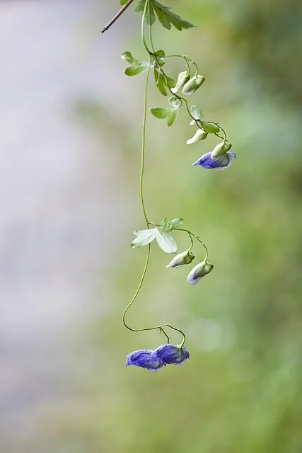 생생정보 평창 황태구이 황태해장국 장PD AI여행_2