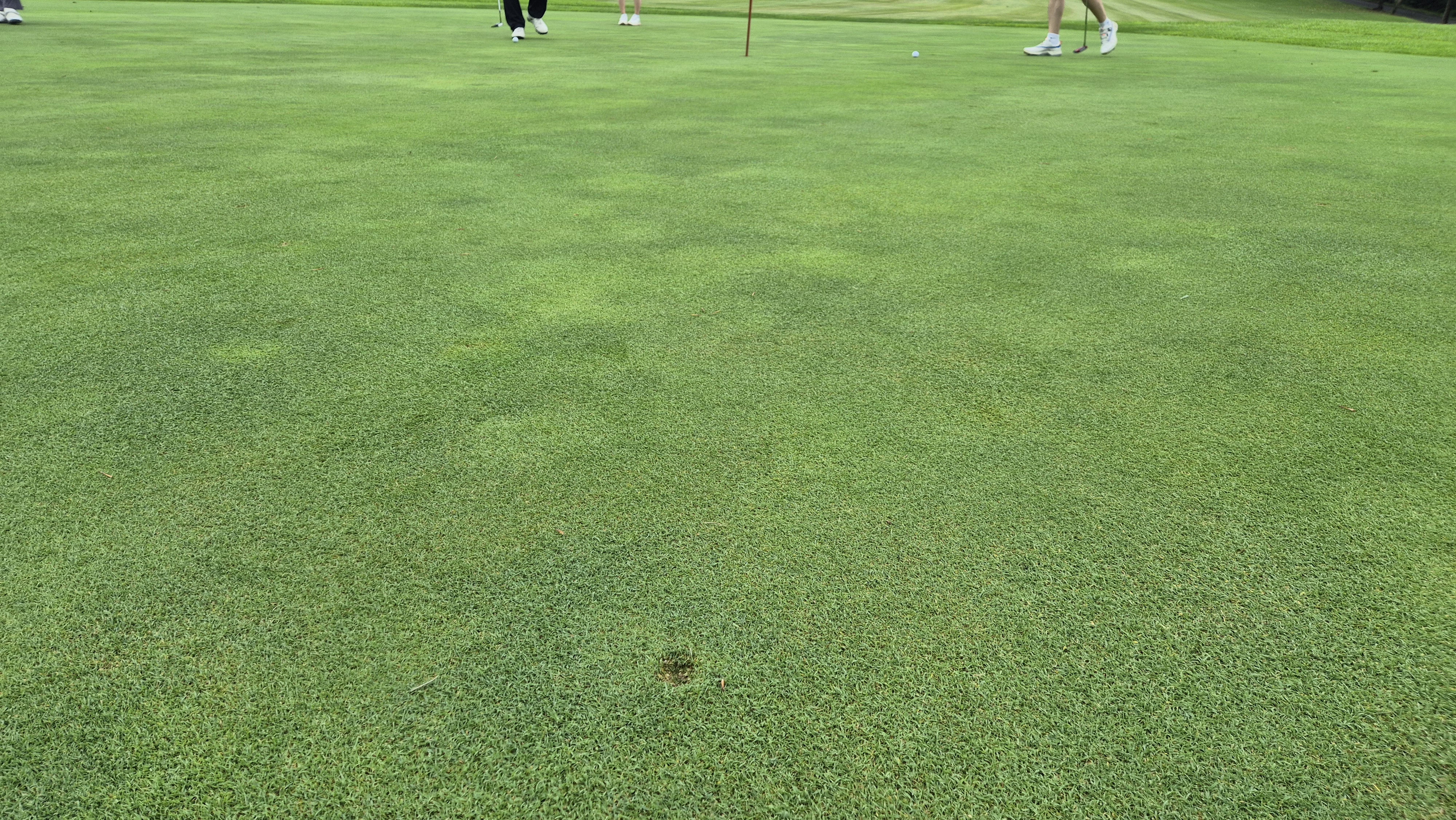 뉴서울cc 예술in-문화in 코스 라운드 후기