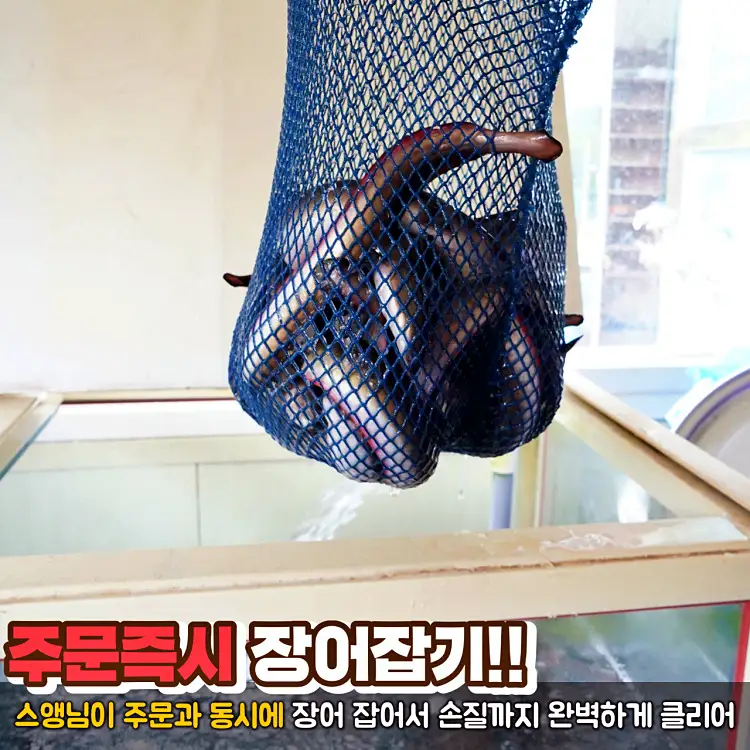 네모세모 전북 전주 맛집 참숯과 담양대나무 석쇠를 사용한 대나무 장어구이 소금구이 양념구이 장어 맛있는 곳