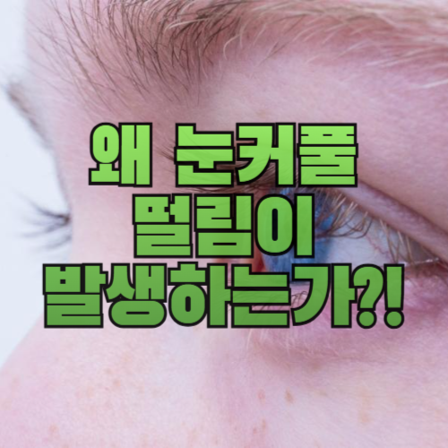 왜 눈커풀 떨림이 발생하는가?!