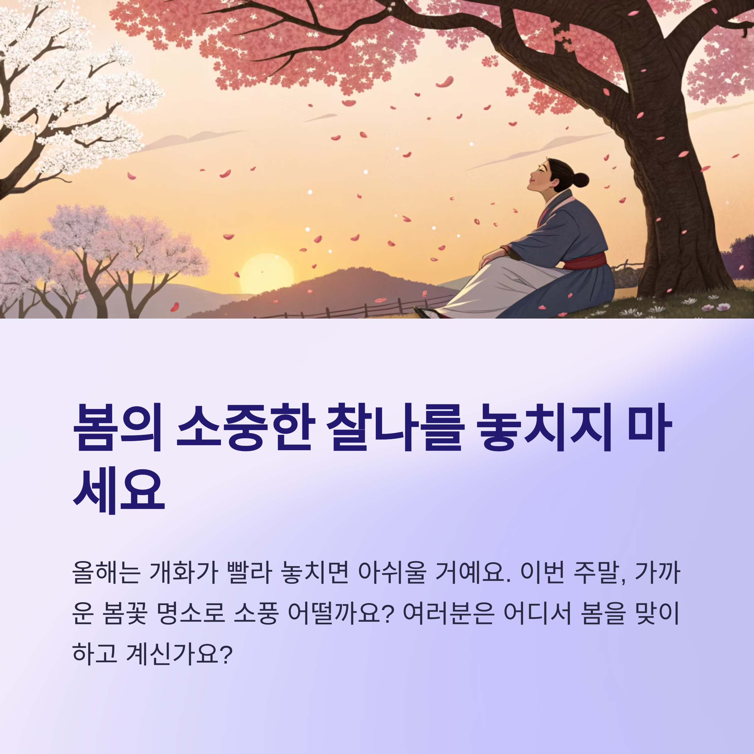 봄의 소중한 찰나