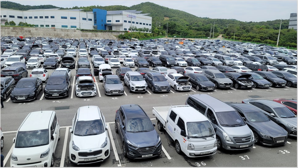 자동차 경매장 전경