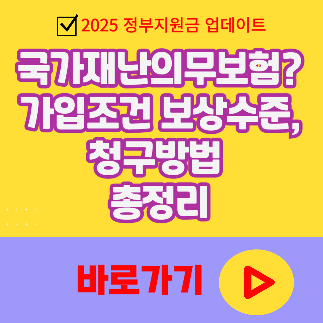 국가재난의무보험이란? 가입조건부터 보상수준, 청구방법까지 총정리