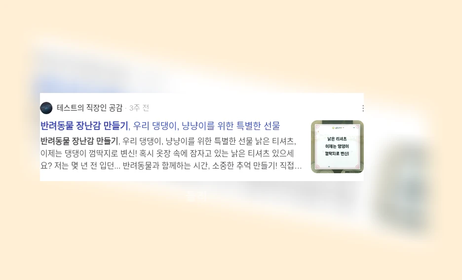 반려동물 장난감 만들기_3_subsection