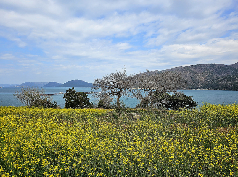거제도 봄여행지 볼거리 가볼만한곳 관광지