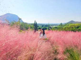 평택 바람새마을 핑크뮬리 가을 여행 인생샷 명소 추천으로 안내_11