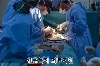 긴급복지 의료지원