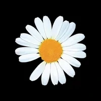 피스마이너스원