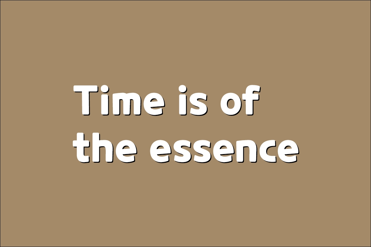 Time is of the essence 뜻