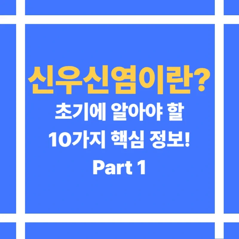 신우신염 증상