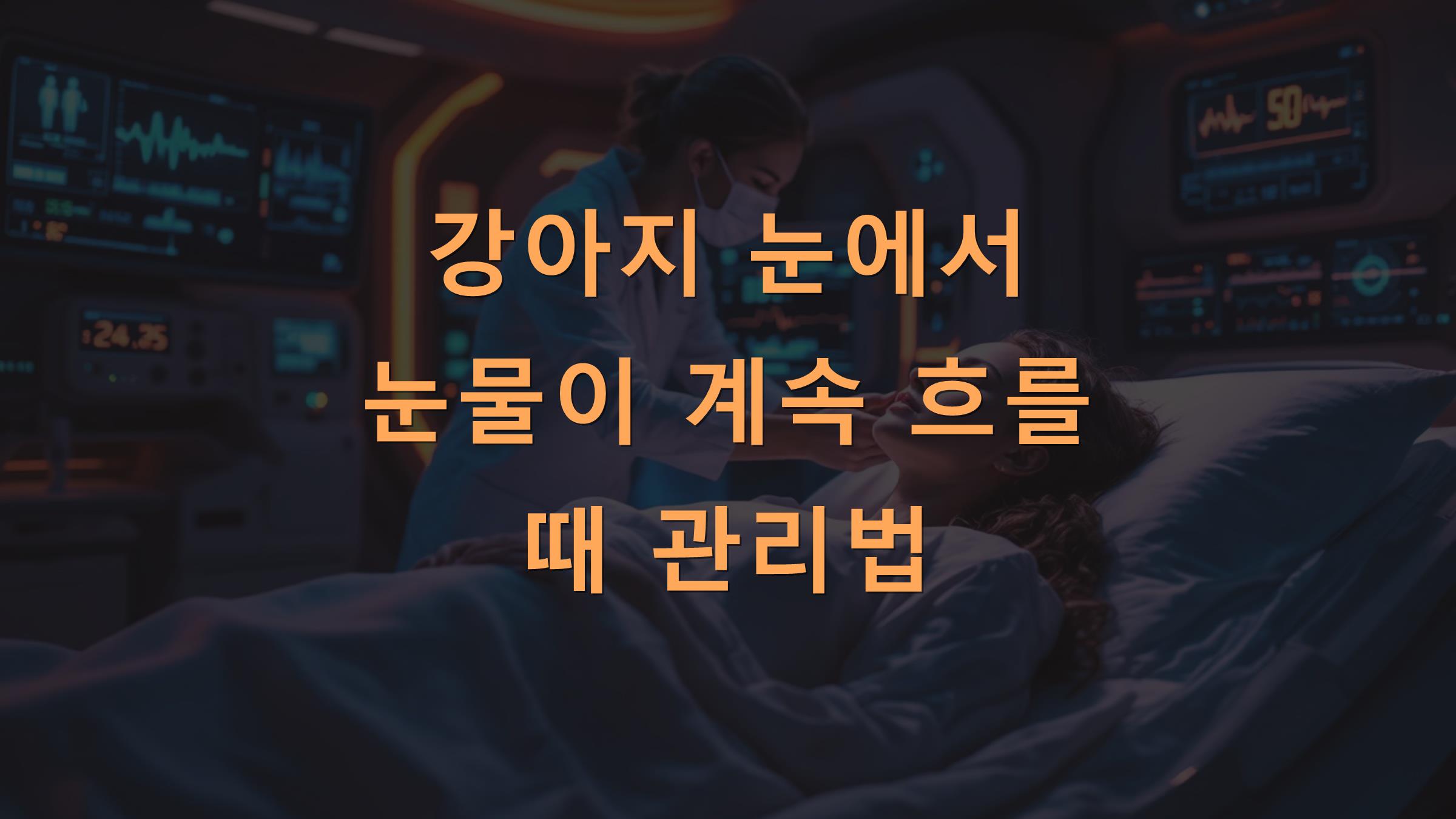 강아지 눈에서 눈물이 계속 흐를 때 관리법