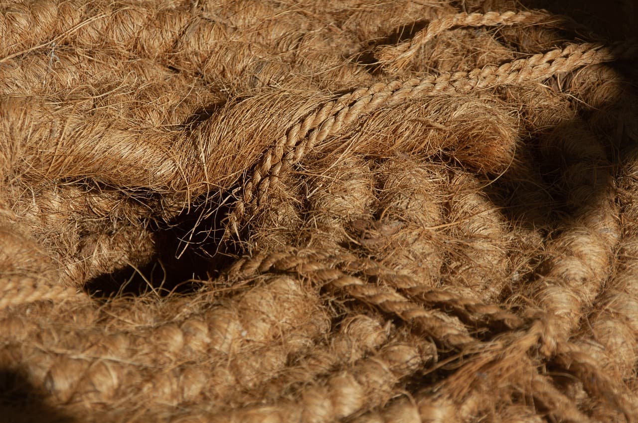 바이오디그레이더블 섬유의 생분해 과정