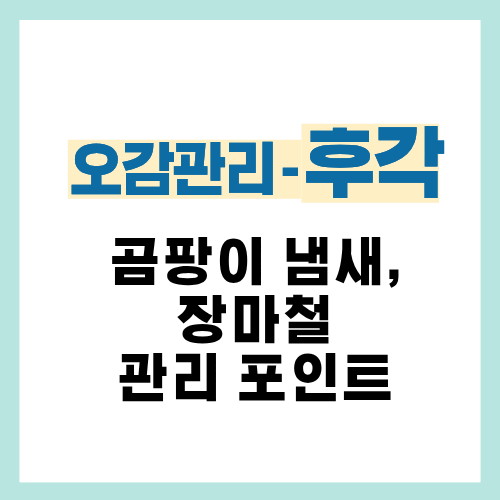 22편. 장마철 곰팡이 냄새 관리 실전 방법