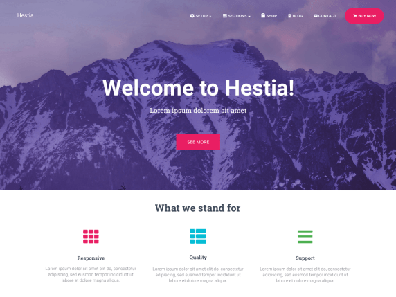 구글 SEO에 잘 맞는 워드프레스 테마 5가지 Hestia