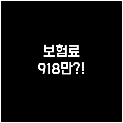 2026년 건강보험료 상한액 918만..