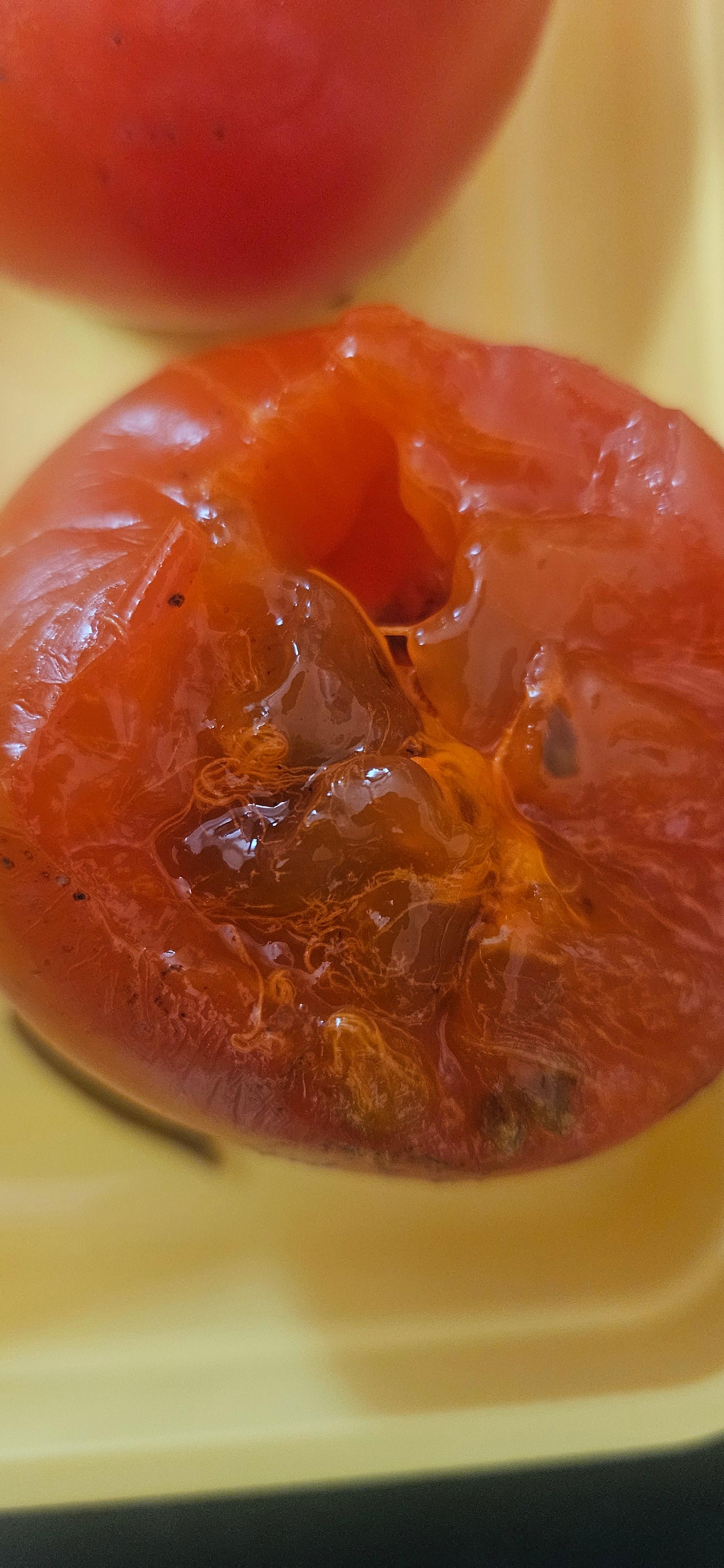 껍질채먹은홍시