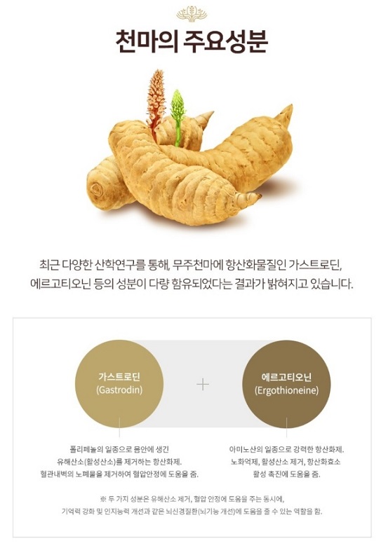 천마주요성분