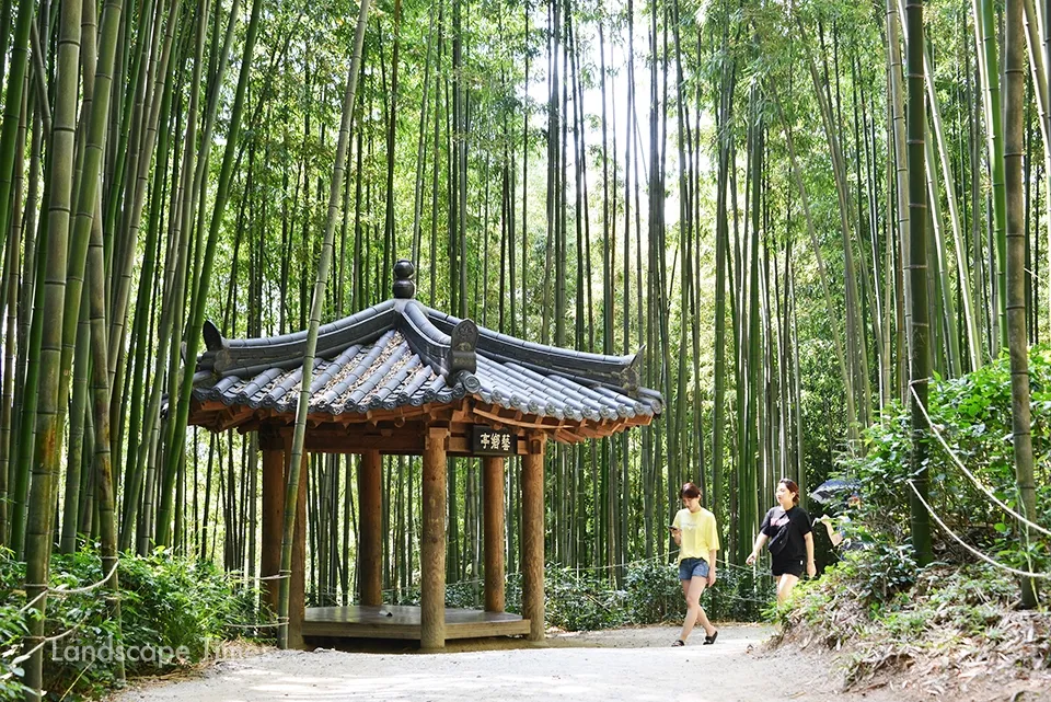 담양 죽녹원 소아르호텔 숙박 맛집_5