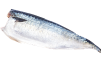 키에 좋은 음식