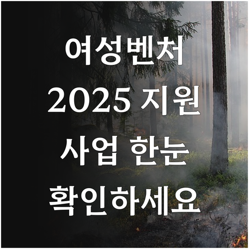 여성 벤처 활성화 2025년 지원 사..