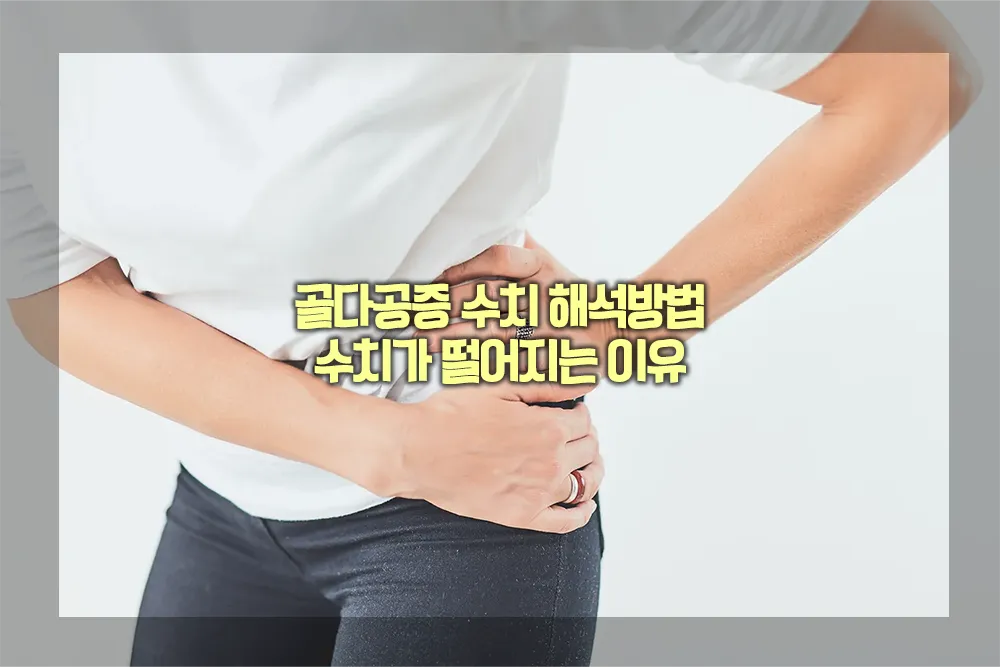 골다공증 수치 해석방법