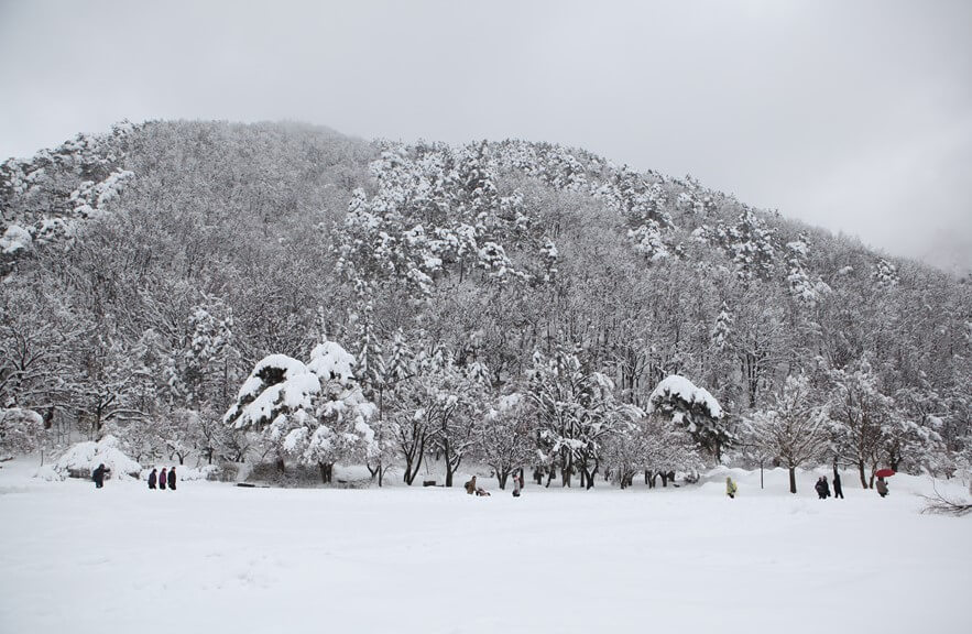 눈 오는 산