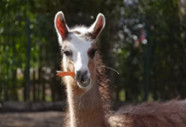 어린이날 축제 BEST 5, 국내여행지 추천