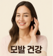 석류 효능