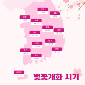 벚꽃 개화 실시간 확인 cctv_9