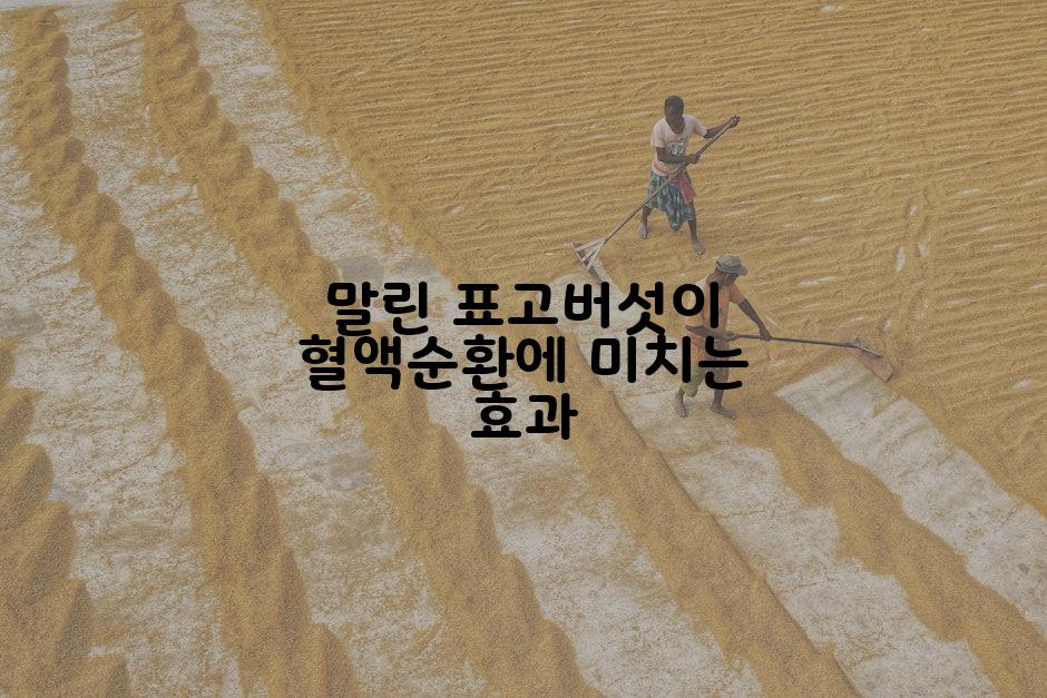 말린 표고버섯이 혈액순환에 미치는 효과