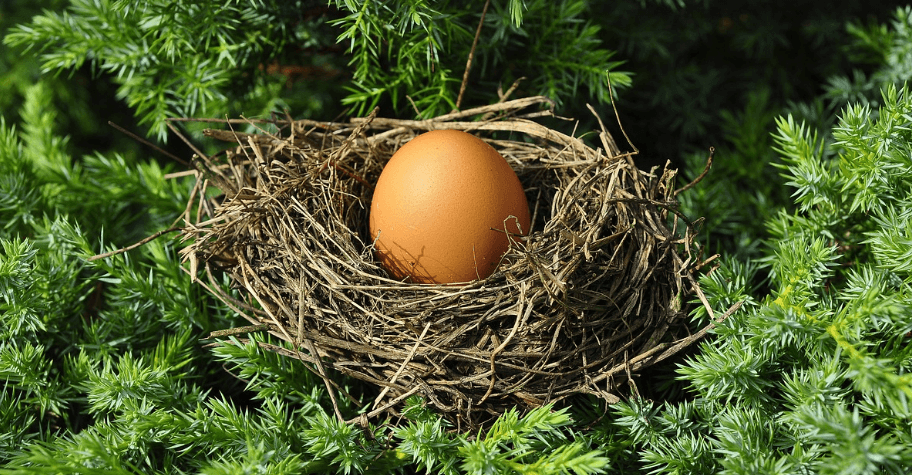 엽산이 많은 음식 사진 - 2111