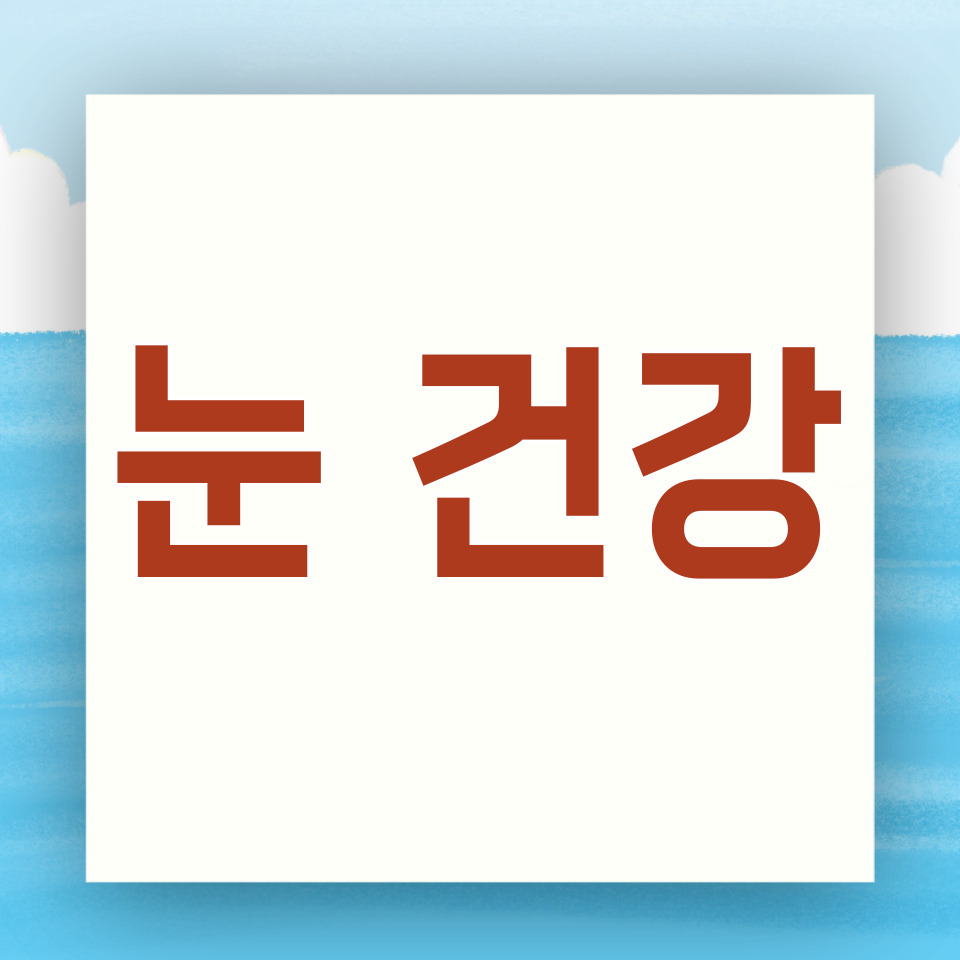 눈 건강 카드뉴스