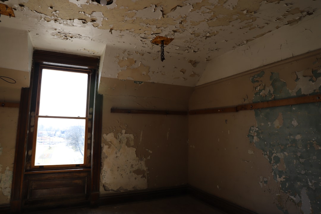 Mold.
