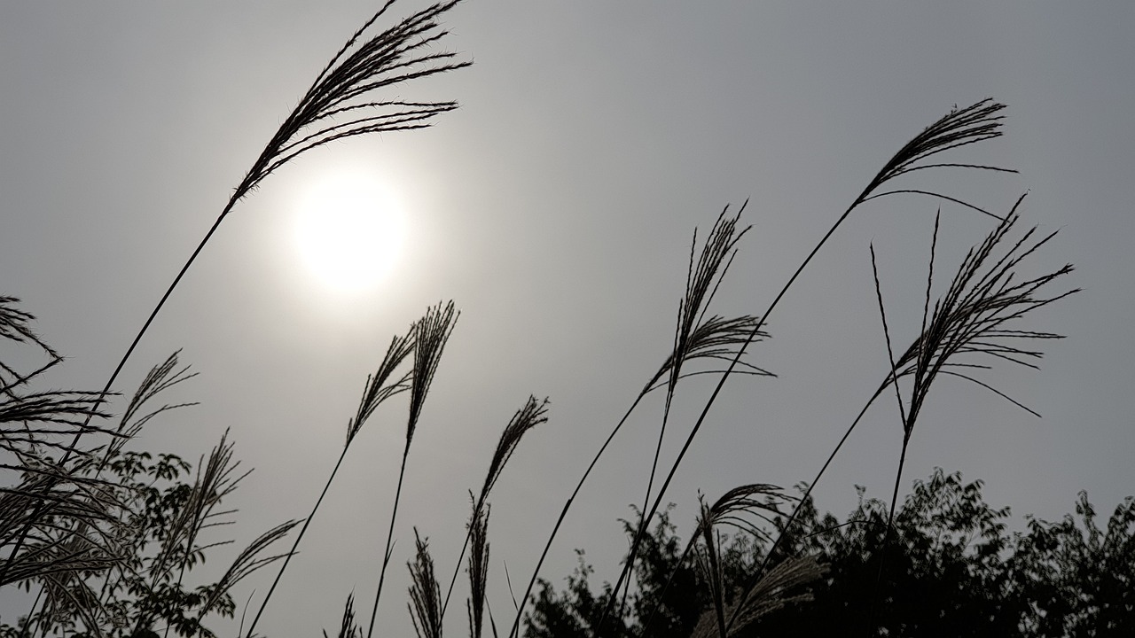 가을 억새, 단풍 산행지 추천